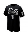 T-SHIRT ARTS MARTIAUX DRAGON