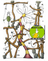 L'Architecte mouton