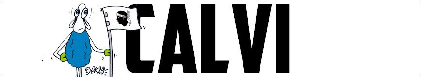 T-SHIRTS CALVI