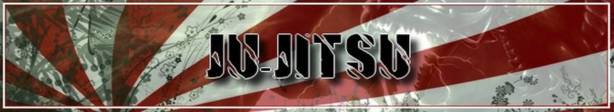 T-SHIRT JIU JITSU