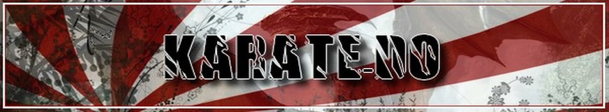 T-Shirt karaté / Boutique t-shirts art martiaux