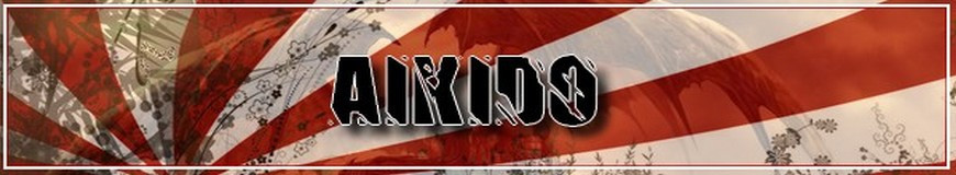 T-SHIRT AÏKIDO